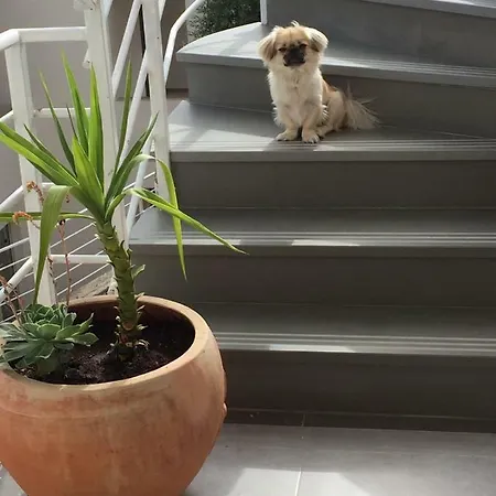 Drimades Blue 컨트리하우스